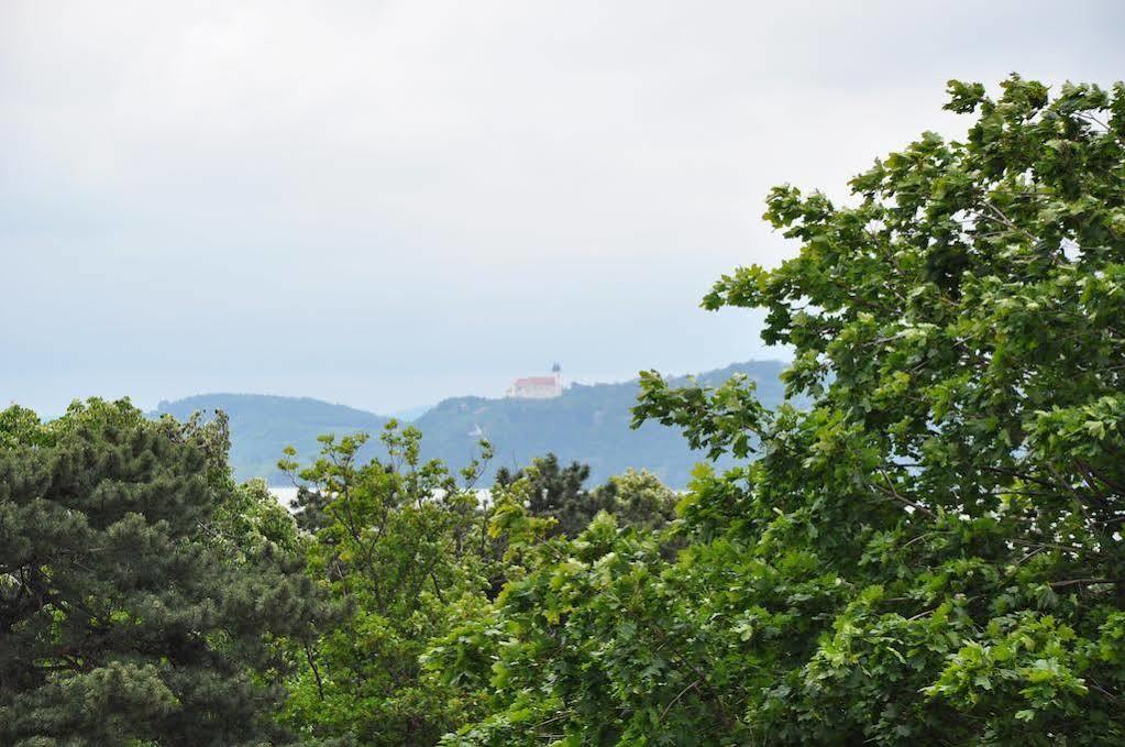 Villa Muzsa Deluxe Balatonfüred Exteriör bild